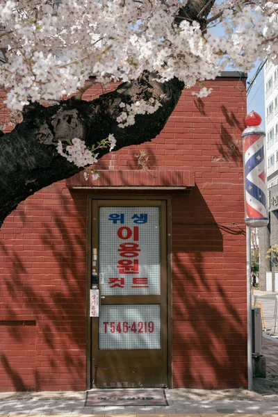 Changwon Corea Abril 2022 Jinhae Old Town Street Spring — Foto de Stock
