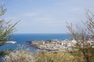 Jeju Adası, Kore 'deki Byeoldobong Oreum' dan Jeju şehri ve denizin panoramik manzarası.