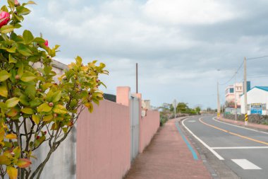 Jeju Adası, Kore 'deki Jeju yolu.