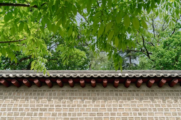 Kore, Seul 'deki Jongno Seosulla-gil sokağındaki geleneksel taş duvar ve yeşil orman.