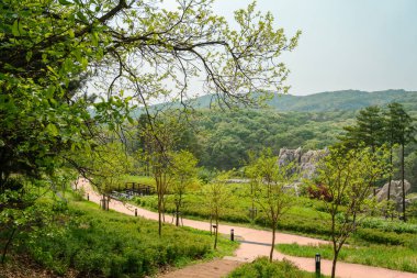 Chomakgol Eco Park. Kore, Gunpo 'da yeşil doğa manzarası.