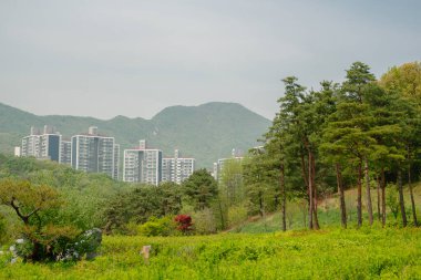 Chomakgol Eco Park yeşil orman ve Gunpo, Kore 'deki apartmanlar