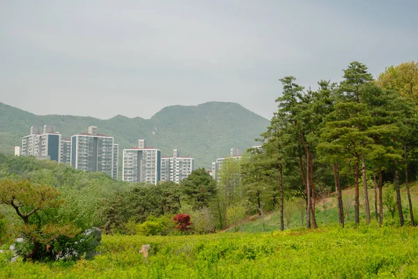 Chomakgol Eco Park Green Forest Apartment Buildings Gunpo Korea —  Fotos de Stock