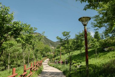 Yazın Kore, Seul 'de Bukhansan dağ yolu.