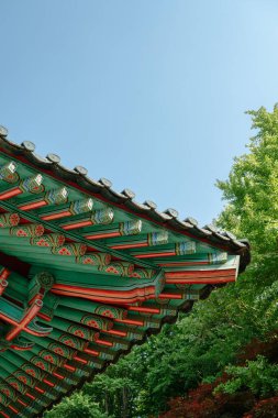 Nakseongdae Parkı, Kore 'nin geleneksel sağrıları Seul, Kore