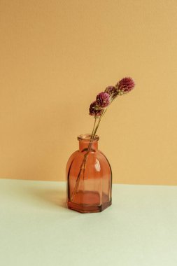 Masanın üzerinde mor kuru çiçekler vazosu. turuncu arka plan. ev içi