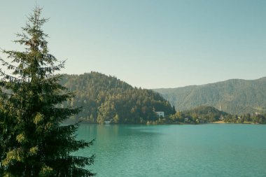 Slovenya 'da Göl Bled ve dağlar