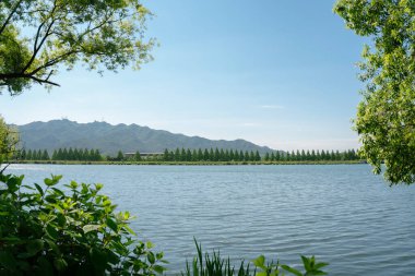 Kore, Gwacheon 'daki Seul Grand Park manzaralı.