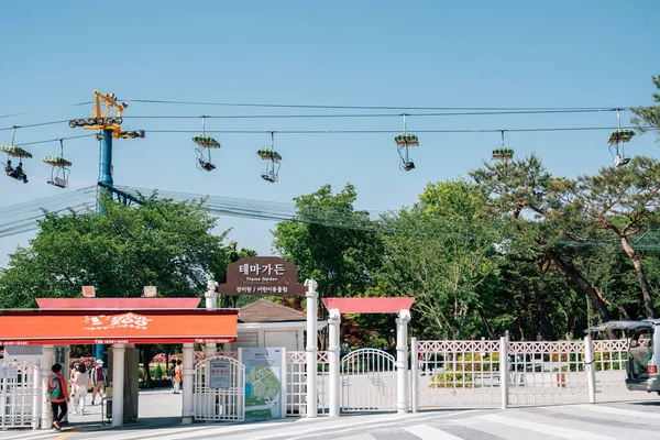 韓国光州市 2022年5月26日ソウル大公園バラ園 — ストック写真