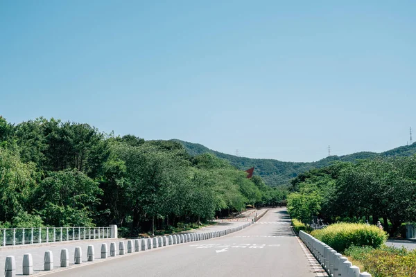 Green Forest Road Seoul Grand Park Gwacheon Corea — Foto de Stock