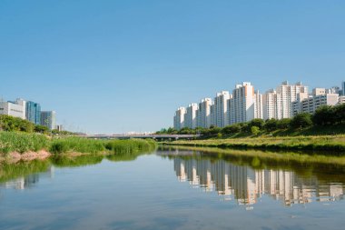 Anyangcheon dere parkı ve Seul, Kore 'deki apartmanlar