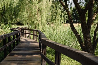 Seul, Kore 'deki New Guro Ekoloji Parkı' nda yeşil orman yolu.