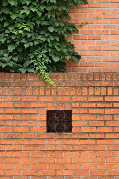 Brown brick wall and green leaf at Yeonhui-dong street in Seoul, Korea