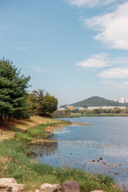 Kore, Ansan 'daki Hwarang Park Park Manzarası