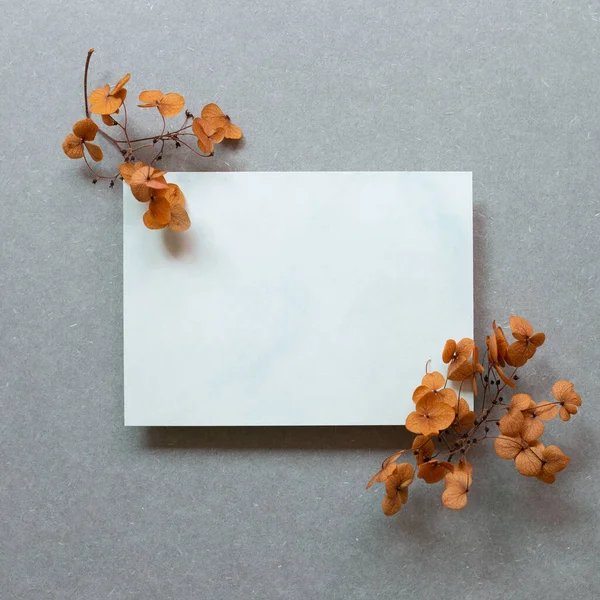 Blank memo pad and brown hydrangea flowers on gray background. top view, copy space