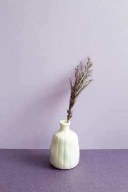 Masada bir vazo kamış var. mor arka plan. ev içi
