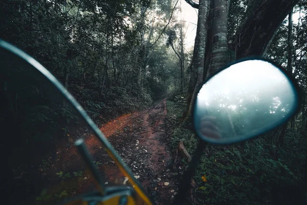 Χωματόδρομος Μπαίνει Στο Τροπικό Δάσος Πρωί Δασικός Δρόμος — Φωτογραφία Αρχείου