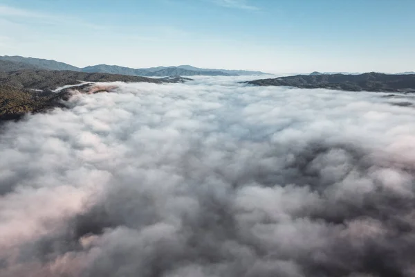 Niebla Mañana Bosque Desde Arriba Verano — Foto de Stock