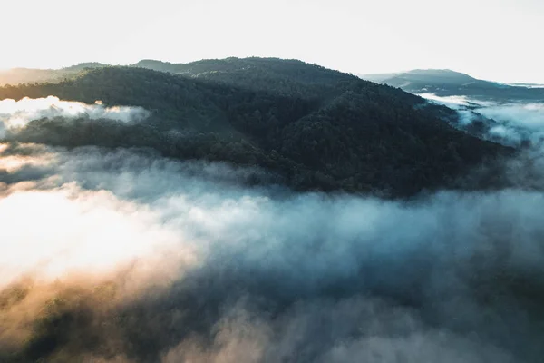 Yazın Yukarıdan Ormanda Sabah Sisi — Stok fotoğraf
