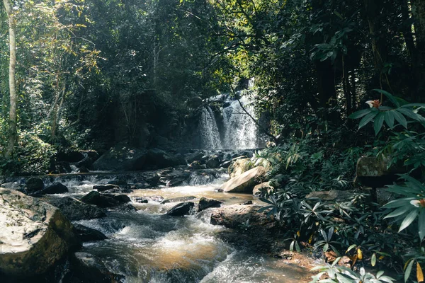 Utazás Vízesés Egy Trópusi Erdőben Nappal — Stock Fotó