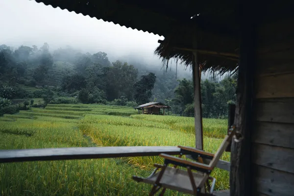 Una Cabaña Campo Arroz Verde Día Descanso Descanso Bajo Lluvia — Foto de Stock