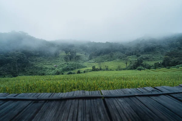 緑の田んぼの小屋で休み雨の中で休み — ストック写真