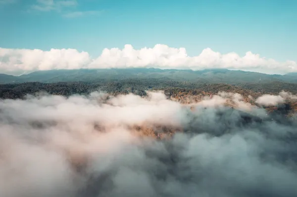 Niebla Las Montañas Naturaleza Mañana — Foto de Stock