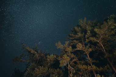 Samanyolu ve gece yıldızları tarlalarda ruh hali tonu