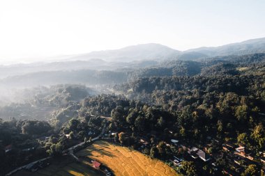 Chiang Mai Tayland 'daki altın pirinç tarlasının havadan görünüşü