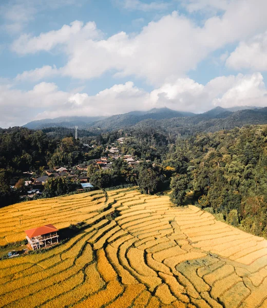 Aerial View Golden Rice Terrace Field Chiang Mai Thailand — Stock Photo, Image