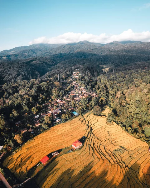 Aerial View Golden Rice Terrace Field Chiang Mai Thailand — Stock Photo, Image