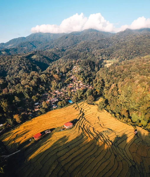 Aerial View Golden Rice Terrace Field Chiang Mai Thailand — Stock Photo, Image