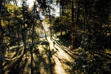 Bulutların üzerinde uçuyor güneş doğuyor ve sis tepede