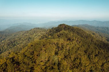 Mountains and Asian forests in the morning,camping