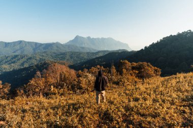 Mountains and Asian forests in the morning,camping
