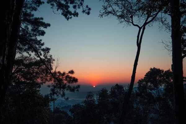 Ранковий Схід Сонця Лісі Ранкові Пейзажі — стокове фото