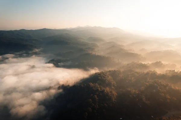 Golden Morning Fog Forest Road Forest — Stockfoto