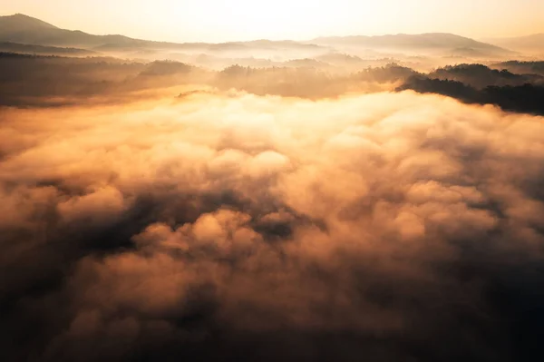 Golden Morning Fog Forest Road Forest — Stockfoto