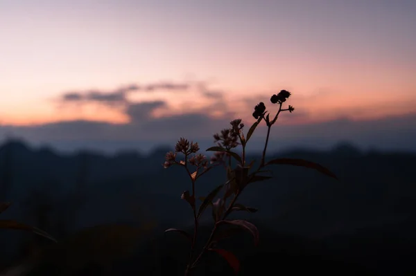 黄昏的山水风景 — 图库照片
