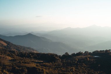 Yaz sabahı dağlar ve bahar çiçekleri