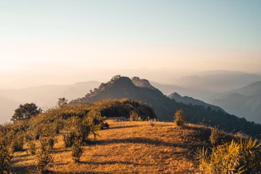 Yaz sabahı dağlar ve bahar çiçekleri