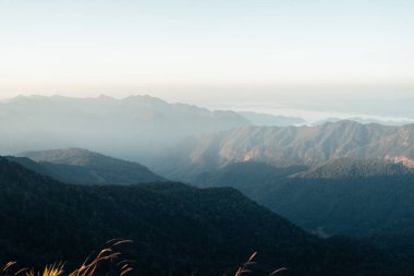 Yaz sabahı dağlar ve bahar çiçekleri