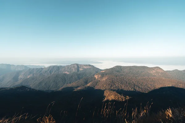 夏日清晨的群山 春天的花朵 — 图库照片