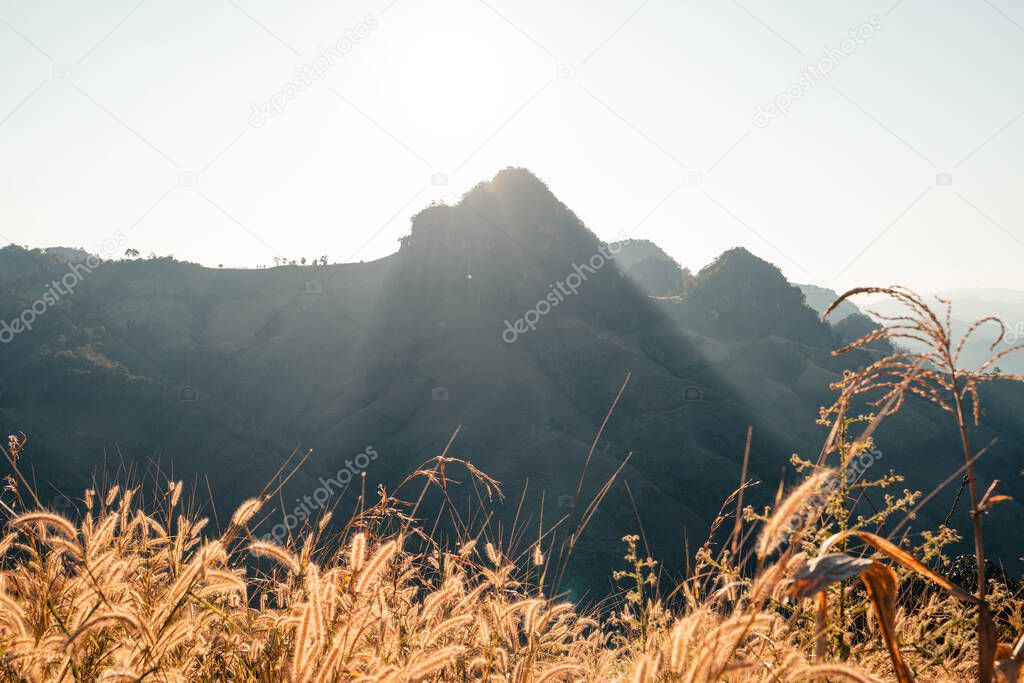 mountains and orange grass in the evening at Mae Hong Son