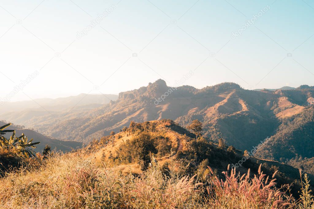 mountains and orange grass in the evening at Mae Hong Son