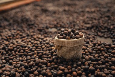 Kahve kurutma evi, doğal kahve çekirdekleri serada kurutulur. Parşömen kahvesi.