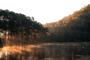 Güzel doğa gölü ve ormanı sabah, Pang Ung, Mae Hong Son, Tayland