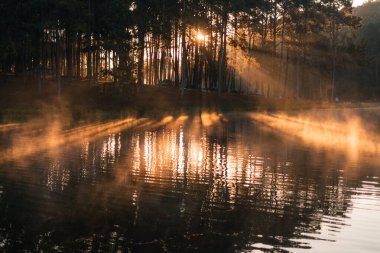 Güzel doğa gölü ve ormanı sabah, Pang Ung, Mae Hong Son, Tayland