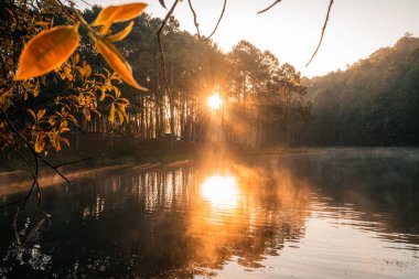 Güzel doğa gölü ve ormanı sabah, Pang Ung, Mae Hong Son, Tayland