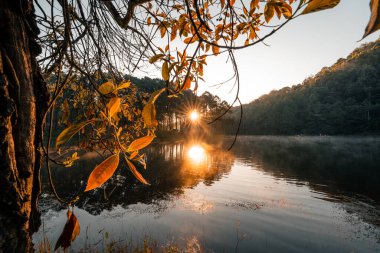 Güzel doğa gölü ve ormanı sabah, Pang Ung, Mae Hong Son, Tayland